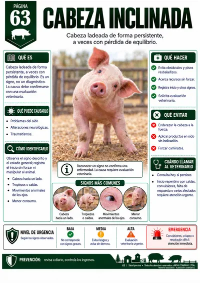 Página 63 — Cabeza inclinada
